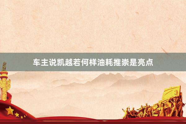 车主说凯越若何样油耗推崇是亮点