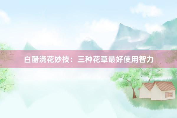 白醋浇花妙技：三种花草最好使用智力